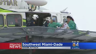 Woman Attacked By Shark In Lower Keys