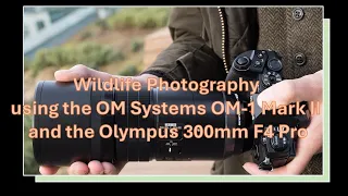 Wildlife Photography using the OM Systems OM-1 Mark II and the Olympus 300mm F4 Pro