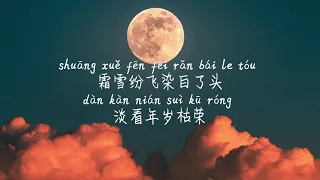 【流离-颜人中】LIU LI-YAN REN ZHONG /Pinyin Lyrics, 拼音歌词, 병음가사/No AD, 无广告, 광고없음