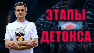 Три этапа ОЧИЩЕНИЯ | Фазы аюрведического ДЕТОКСА | Этапы ПАНЧАКАРМЫ