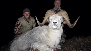 Back to the Yukon --Hunting Sheep & Grizzly with Reynolds Outfitter and Glen Landrus