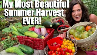 My Most Beautiful Organic Garden Summer Harvest EVER! 🍅🍆🍓🫑🌶🥒