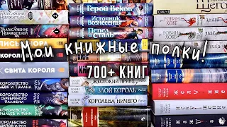 МОИ КНИЖНЫЕ ПОЛКИ || КНИГИ... книги, книги! 🔥