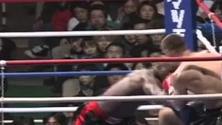 Mirko CroCop vs Ernesto Hoost K1 99 FINAL (highlights)