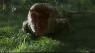 Annihilation (2018) - Albino Alligator Attack