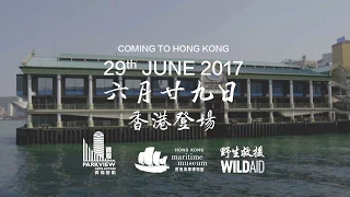 鯊魚與人類 On Sharks & Humanity 香港海事博物館 Hong Kong Maritime Museum
