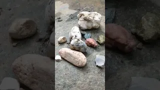 piedras de cuarzo