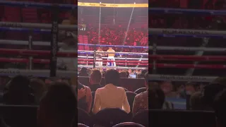 Mark Magsayo vs Julio Ceja live! Brutal right hand knocked out! Wow!