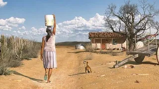 Documentário SERTÃO VELHO CERRADO português