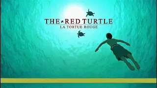 Winning animation - The Red Turtle (La Tortue Rouge) - Michael Dudok de Wit - Accordéon Mélancolique