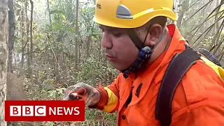 Brazil's Amazon: Fireman 'saving what's not burnt' - BBC News