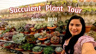 Succulent Plant Tour Summer 2023 // Sarah G. Smith