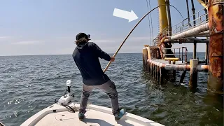 I Brought A BAMBOO POLE Offshore To Catch These HUGE Fish!!