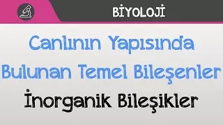 Canlının Yapısında Bulunan Temel Bileşenler - İnorganik Bileşikler