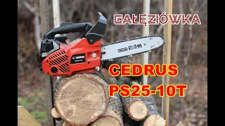 Cedrus PS25-10T Pilarka spalinowa - Mała i lekka gałęziówka - Test