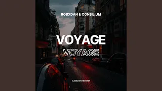 Voyage Voyage (Techno Remix)