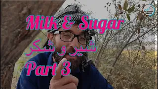 Milk & Sugar - شیر و شکر