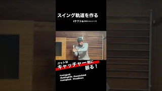 このスイングが分かる人はメジャーリーガーに近づく！【バッティング】ヘッドダウン／スイングバック　#スイングパス　#swingpath