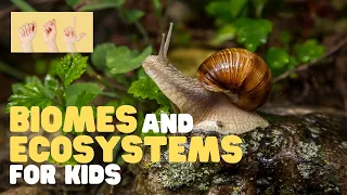 ASL Biomes and Ecosystems for Kids