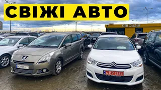 Свіжі авто на автомайданчику КАРБАЗАР у Львові 2023.