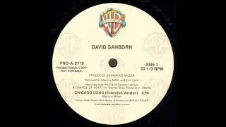 David Sanborn - Chicago Song (1987-Smooth Jazz)