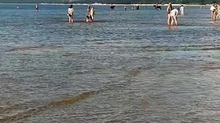 Сестрорецкий пляж