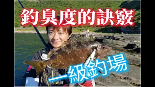 臭肚魚大軍侵入東北角!!水清澈見魚一般手竿雙鉤連連!!真好玩!!享受釣魚時光