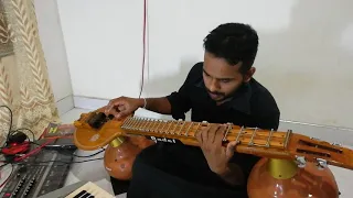 Pera Dinayaka Ma Pemkala Yuwatiy | Veena Cover | Pandith W D Amaradewa | Cover by Gamini Dissanayake