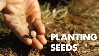 PLANTING SEEDS: A Song of Life | Empty Hands Music | nimo feat. daniel nahmod