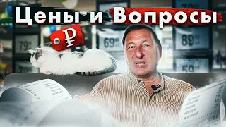 Цены и вопросы (Борис Кагарлицкий, Кот Степан)