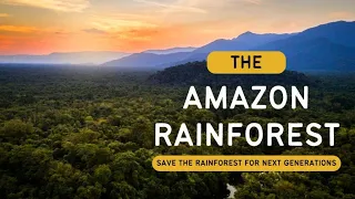 The Amazon Rainforest - Save the Rainforest for Next Generations - [Hindi]- Infinity Stream