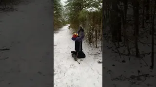 Leopard in Russian forest/Леопард в зимнем лесу