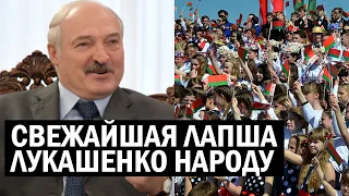 СРОЧНО! Лукашенко начал "ПОДКУПАТЬ" беларусов! Обещания - МЁД! Но все ПОСЫЛАЮТ таракана - новости