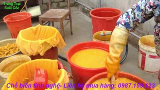 Tinh nghệ, công đoạn chế biến tinh nghệ