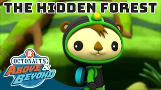 Octonauts: Above & Beyond - The Hidden Forest | Land Adventures | @Octonauts