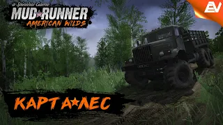 MudRunner Карта ЛесSpintires: (Spintires MudRunner)