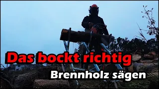 Taugt der Sägebock noch? | Brennholz Sack zu groß | Dolmar 110