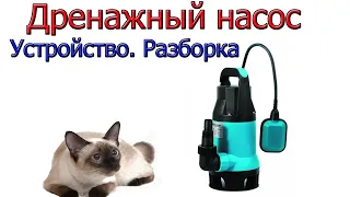 Дренажный насос. Полная разборка после года эксплуатации.