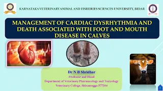 Treatment of cardiac dysrhythmia and death associated with foot and mouth disease (FMD) in calves