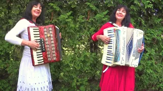 Wiesia Dudkowiak  - Accordion Melody