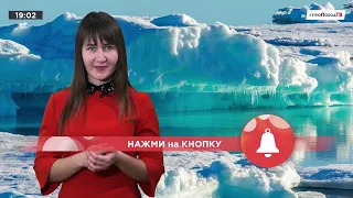 День полярного медведя #проПоходТВ 27.02.2021