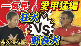 【一気見】愛甲猛編　狂犬VS野良犬対決は永久保存版です【高橋慶彦】【広島東洋カープ】【千葉ロッテマリーンズ】【プロ野球OB】