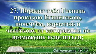 ВидеоБиблия Книга Второзаконие с музыкой глава 28 Бондаренко