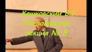 Кашковский В.Г. Пчеловодство лекция №8