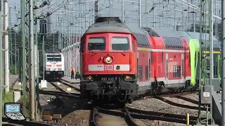 Dresden Reick mit Ⓢ-Bahn, Sonderzüge, Twindexx Überführungen, ČD BR 371, Städtebahn Sachsen, ...