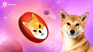 Shiba Inu прогноз 2021.Стоит ли еще покупать? Скам?! x20 скоро???