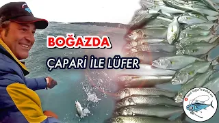 Boğazda Lüfer Çılgınlığı