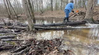 unclogging debris in forest. plus update at the end. beaver dam adjacent. 12/17-18/22