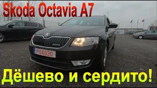 Пригнать Skoda Octavia из Литвы выгодно и доступно!