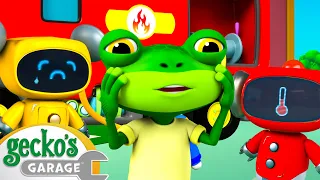 Wacky Waterslide | Gecko's Magical World | Animal & Vehicle Cartoons | Cartoons for Kids